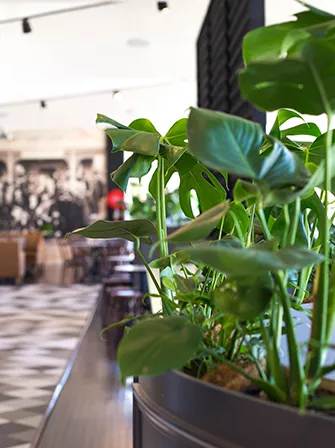 Our Story - Gallery11